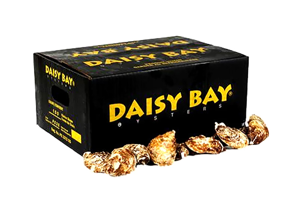Daisy Bay Oysters