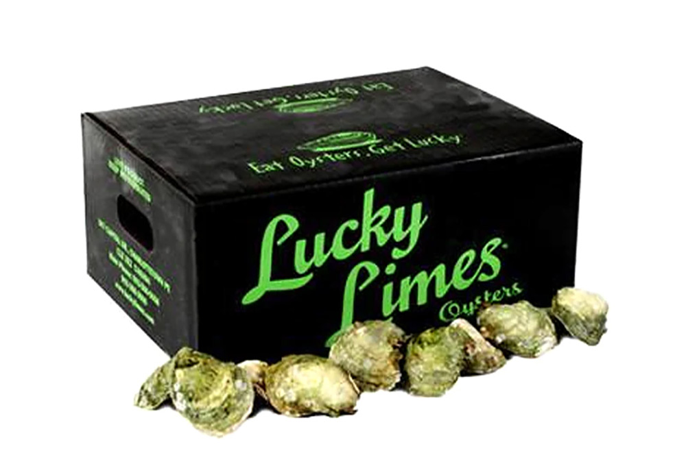 Lucky Limes Oysters